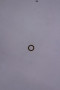 24 153 01-S } O-RING: OIL PICK-U