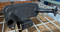 C33469 - MUFFLER