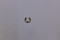 25 018 02-S } RETAINER: E-CLIP