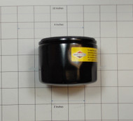 C34544 } BRIGGS-FILTER