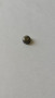 25 139 46-S } PLUG: CUP