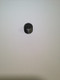 25 139 64-S } PLUG