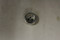 25 139 74-S } PLUG: PIPE 1/2 NPT