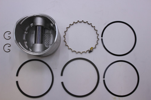 41 874 09-S } KIT: PISTON W/RING