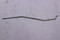 47 079 08-S } LINKAGE