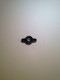 63 100 21-S } NUT: WING A/C