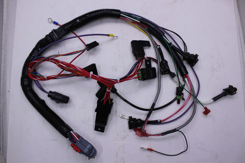 66 176 19-S } HARNESS: EFI WIRIN