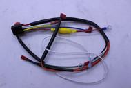 66 176 20-S } HARNESS: WIRING