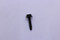 25 086 157-S } SCREW: HEX FLANGE