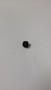 25 086 168-S } SCREW: SET