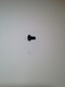 25 086 217-S } SCREW:COVR TO BLWR