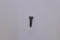 25 086 650-S } Pan Head Screw