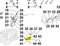 ED0013800940-S } UNIONLINK