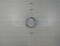 ED0016401170-S } BEAR.-0.25