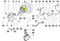 ED0017550240-S } BOLT