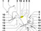 ED0019010360-S } UNION BOLT