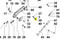 ED00323R0070-S } NUT