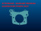 ED0045802160-S } GASKET