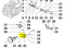 ED0048820460-S } FORK.AS.