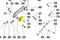 ED00491R0670-S } LEVER