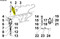 ED0050100510-S } HOLDER