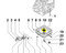 ED0050900100-S } SUMPPLATE