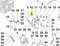 ED0051680520-S } RETAINER