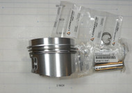 ED0065007000-S - PISTON STD
