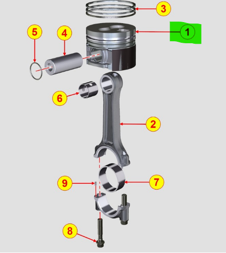 ED0065009970-S } PISTON +1 