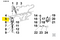 ED0065903180-S } INJ.PUMP