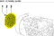 ED00689R0470-S } PROTECTION