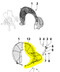 ED0069273550-S } GUARD