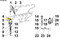 ED0072600420-S } UNION