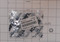 ED0075650040-S } SP.WASHER