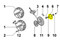 ED0079800630-S } CUP