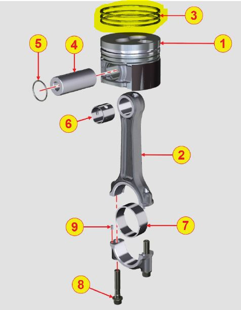 ED0082112480-S } RINGS STAND.