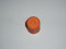 ED0090802070-S } CAP