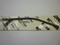 ED0093300860-S } TUBE