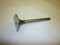 ED0096521570-S } INTAKE VALVE
