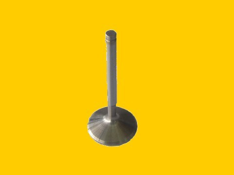 ED0096521630-S } INTAKE VALVE