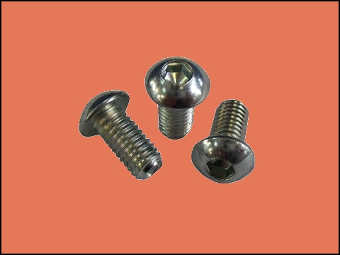 ED0097303190-S } SCREW