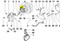 ED0097303190-S } SCREW