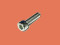 ED0097310220-S } ALLEN SCREW