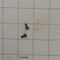 ED0097320960-S } SCREW