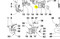 ED0098000550-S } SCREW