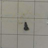 ED0098652020-S } SCREW
