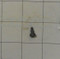 ED0098652020-S } SCREW