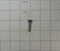 ED00992R0460-S } SCREW