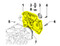 ED00241R0100-S } COVER FOR DISTRIBU