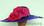  Large Wavy Brim ladies hat with Large Contrasting Floral Bow and Matching Band